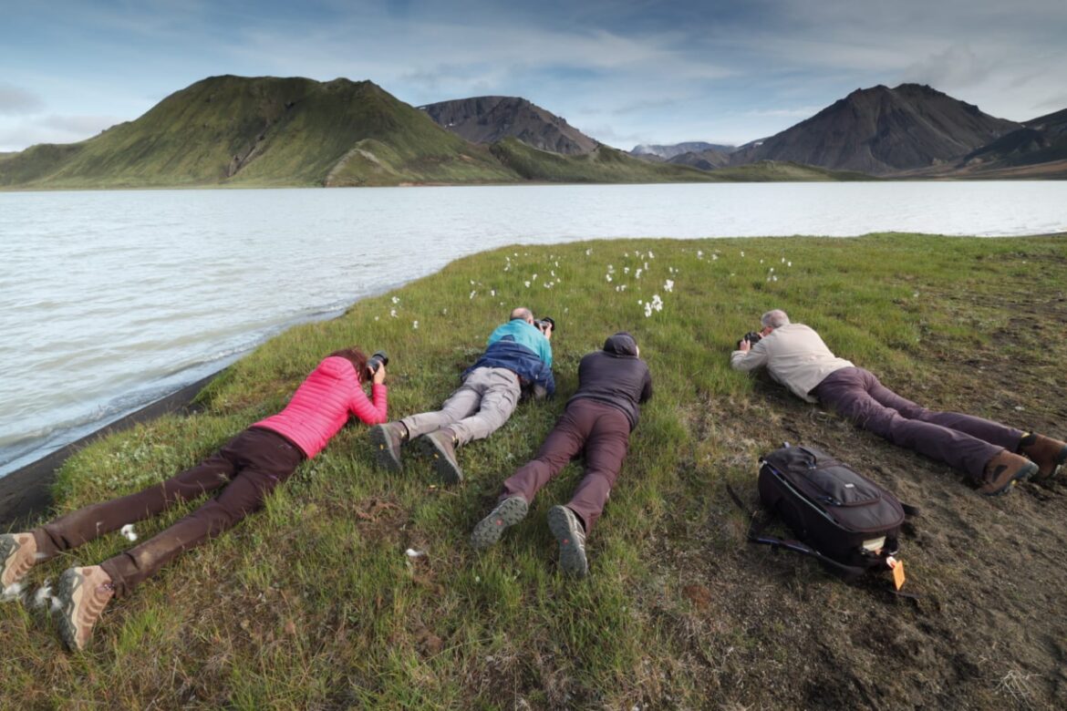 7ad42e5b eba9 40db 9111 3606addd5a96