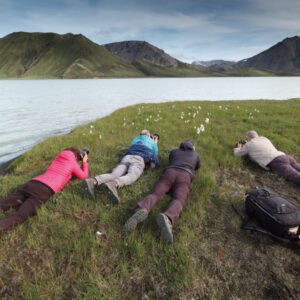 7ad42e5b eba9 40db 9111 3606addd5a96